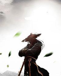 武侠从穿越射雕郭靖开始迷糊魔术师